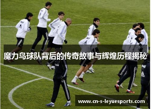 魔力鸟球队背后的传奇故事与辉煌历程揭秘