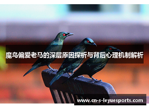 魔鸟偏爱老马的深层原因探析与背后心理机制解析