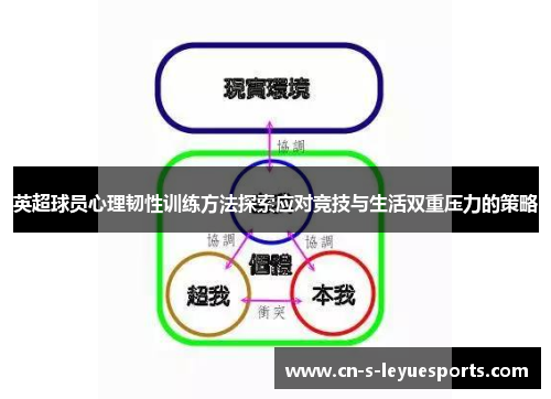 英超球员心理韧性训练方法探索应对竞技与生活双重压力的策略