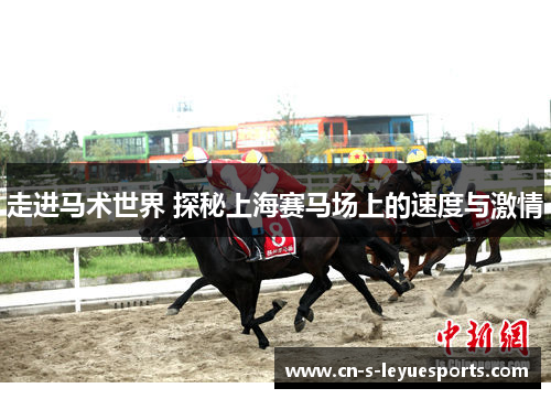 走进马术世界 探秘上海赛马场上的速度与激情