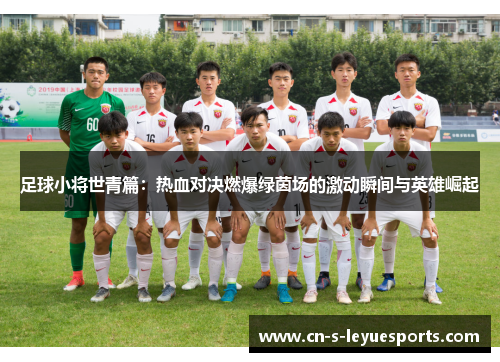 足球小将世青篇：热血对决燃爆绿茵场的激动瞬间与英雄崛起